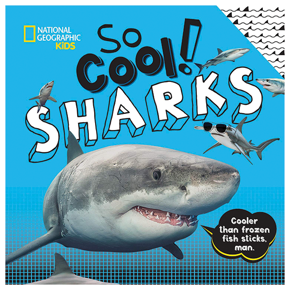 SO COOL SHARKS