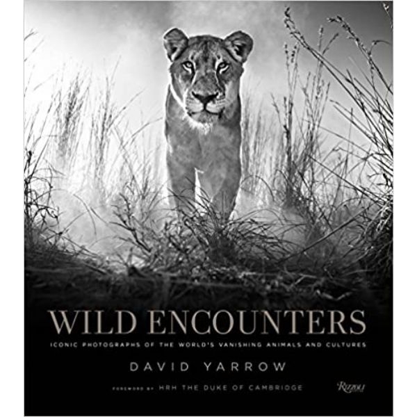 WILD ENCOUNTERS- DAVID YARROW